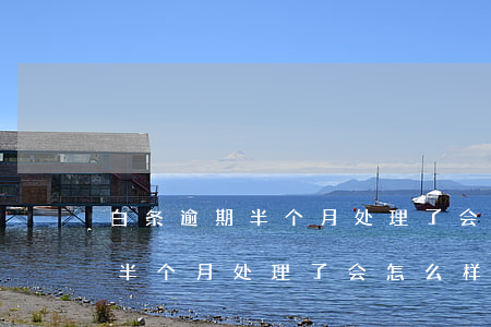 白条逾期半个月处理了会怎么样-白条逾期半个月处理了会怎么样吗