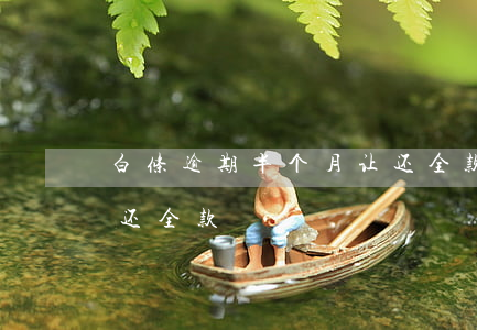 白条逾期半个月让还全款(白条逾期半个月让还全款)
