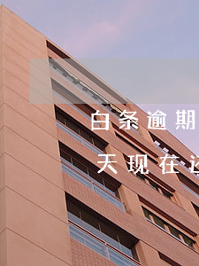 白条逾期半个月还会借吗(白条之前逾期了几天,现在还完了,借不出来了)
