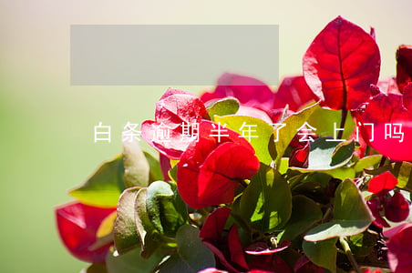 白条逾期半年了会上门吗