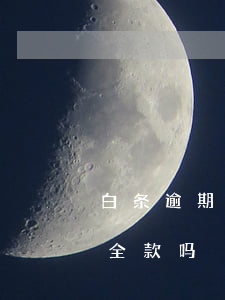 白条逾期协商只还本金-白条协议有逾期还全款吗