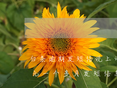 白条逾期发短信说上诉法院 白条逾期900元一个多月发短信息说要起诉是真的吗
