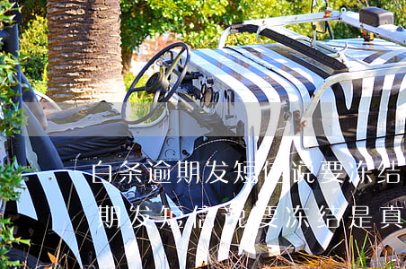 白条逾期发短信说要冻结是真的吗-白条逾期发短信说要冻结是真的吗吗