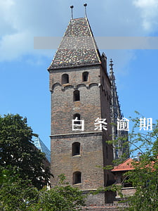 白条逾期取现失败(白条逾期不能取现)