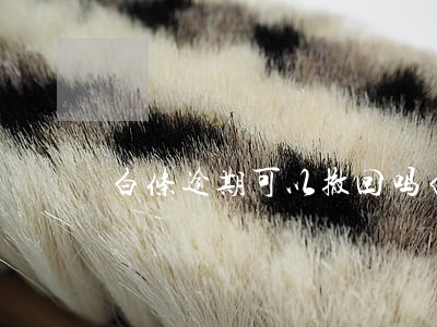 白条逾期可以撤回吗(白条逾期可以恢复吗)