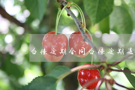白条逾期合同(白条逾期过)