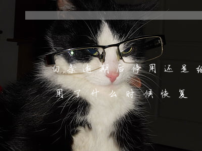 白条逾期后停用还是继续用-白条逾期不能用了,什么时候恢复