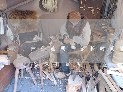 白条逾期后多长时间能解除 白条逾期还清后多久有额度