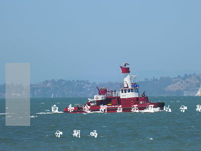 白条逾期后还可以分期吗 白条逾期后还可以分期吗