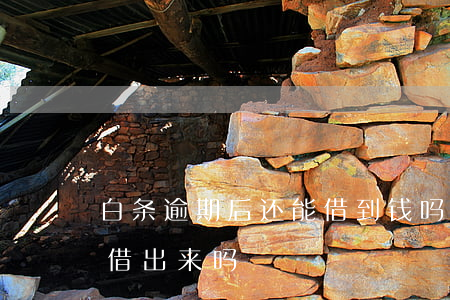 白条逾期后还能借到钱吗(白条逾期2天还能借出来吗)