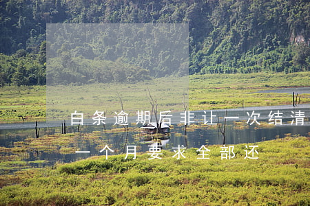 白条逾期后非让一次结清怎么办-白条逾期一个月要求全部还