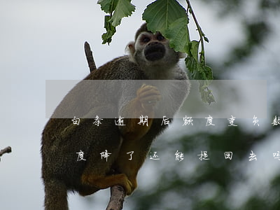 白条逾期后额度变负数能恢复吗(白条逾期额度降了还能提回去吗)