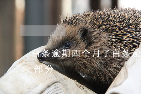 白条逾期四个月了(白条逾期35天只还逾期部分)
