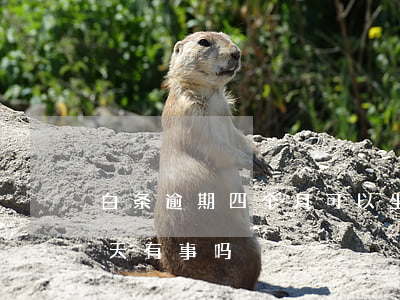 白条逾期四个月可以坐大巴吗(白条逾期三四天有事吗)