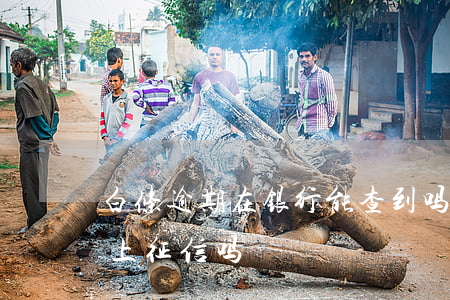 白条逾期在银行能查到吗-白条逾期几小时上征信吗