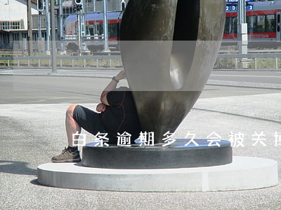 白条逾期多久会被关掉