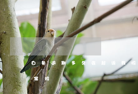 白条逾期多久会起诉我吗(白条逾期真的会立案吗)