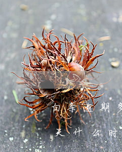 白条逾期多久可以在白条取现-白条逾期三天,什么时候才能恢复取现