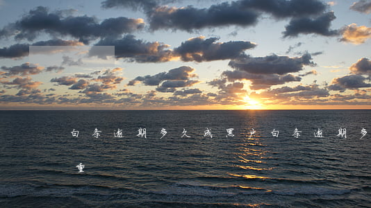 白条逾期多久成黑户(白条逾期多久算是很严重)