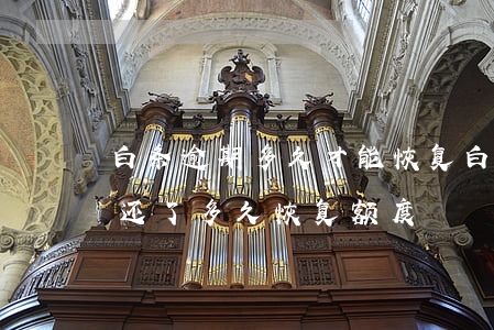 白条逾期多久才能恢复(白条逾期1个月然后还了多久恢复额度)
