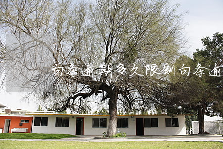白条逾期多久限制(白条逾期多久算是很严重)