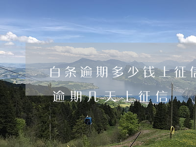 白条逾期多少钱上征信 白条逾期多久上征信?逾期几天上征信