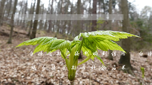 白条逾期已经影响到信用-白条逾期上征信吗?白条逾期有什么后果