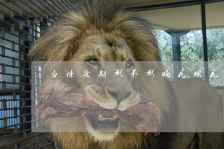 白条逾期影不影响花呗（花呗逾期白条会怎样）