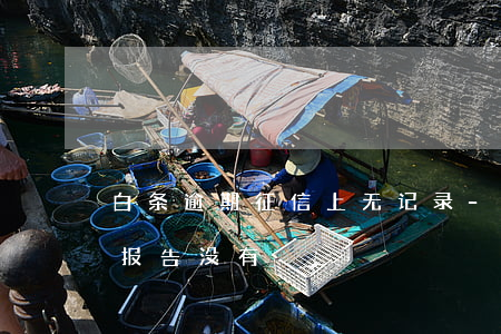 白条逾期征信上无记录-白条逾期为啥征信报告没有