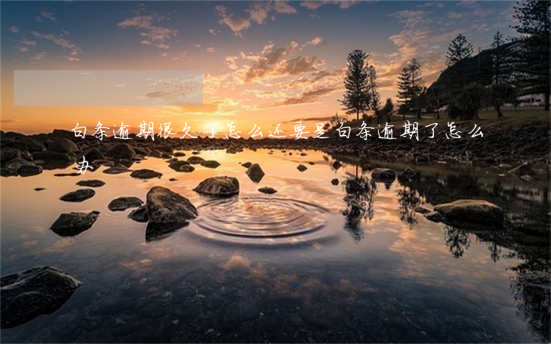 白条逾期很久了怎么还(要是白条逾期了怎么办)