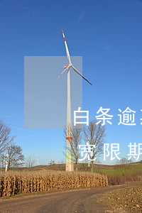 白条逾期怎么协商解决(白条逾期了可以协商宽限期吗)
