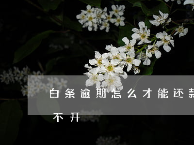 白条逾期怎么才能还款(白条逾期怎么还款打不开)