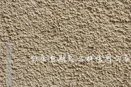 白条逾期怎么样（信用白条逾期有多恶心）