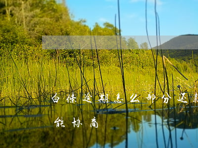 白条逾期怎么部分还款(白条逾期还全额能不能协商)