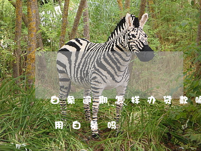 白条逾期怎样办贷款呢(白条逾期了还能继续用白条吗)