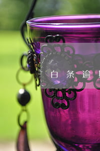 白条逾期怎样(白条不小心逾期)