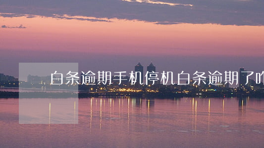 白条逾期手机停机(白条逾期了咋办)