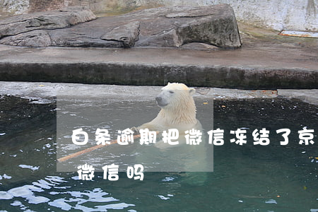 白条逾期把微信冻结了(京东白条逾期会冻结微信吗)