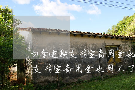 白条逾期支付宝备用金也用不了-白条逾期支付宝备用金也用不了?