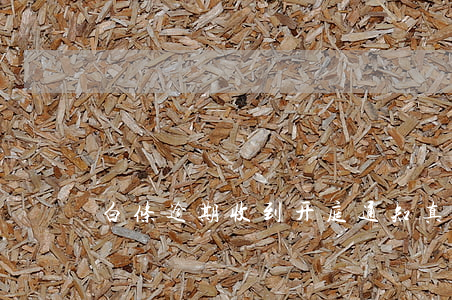 白条逾期收到开庭通知：真？假？如何处理？