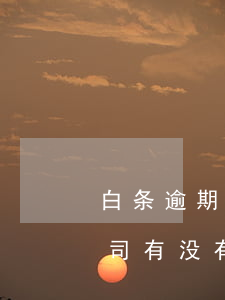 白条逾期收到律所的信函(白条逾期第三方公司有没有权利发律师函)