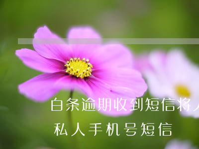 白条逾期收到短信将人工介入(白条逾期收到私人手机号短信)