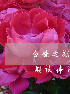 白条逾期暂停使用如何恢复(白条逾期一个星期被停用还款后还能用吗)