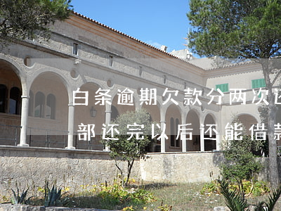 白条逾期欠款分两次还可以吗-白条逾期,全部还完以后还能借款吗