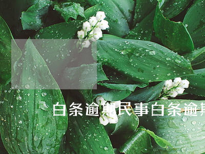 白条逾期民事 白条逾期冻结