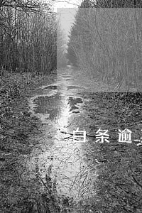 白条逾期法院执行