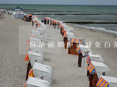 白条逾期申请减免(白条逾期申请减免)