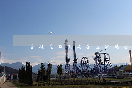 白条逾期真的会立案吗（白条逾期多久会立案）