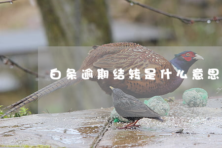 白条逾期结转是什么意思(白条已结转)