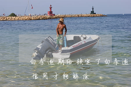 白条逾期给锁定了(白条逾期锁定要达到什么信用才能解除)